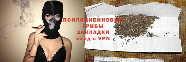 молекула духа Алексин