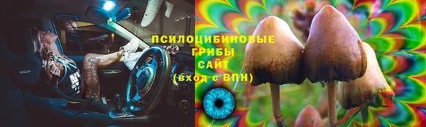 метадон Рославль