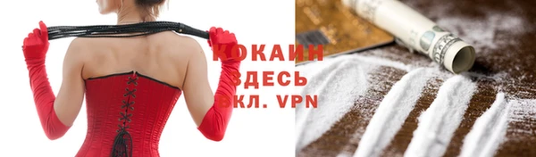 молекула духа Алексин