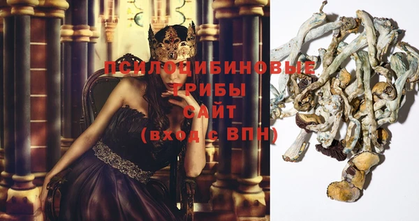 молекула духа Алексин