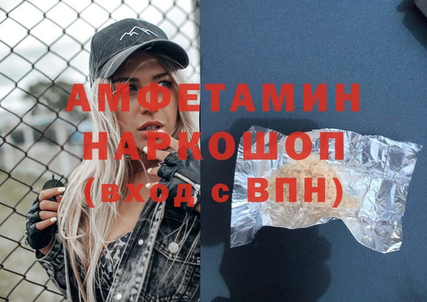 молекула духа Алексин
