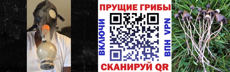Галлюциногенные грибы мухоморы  darknet формула  Киселёвск 